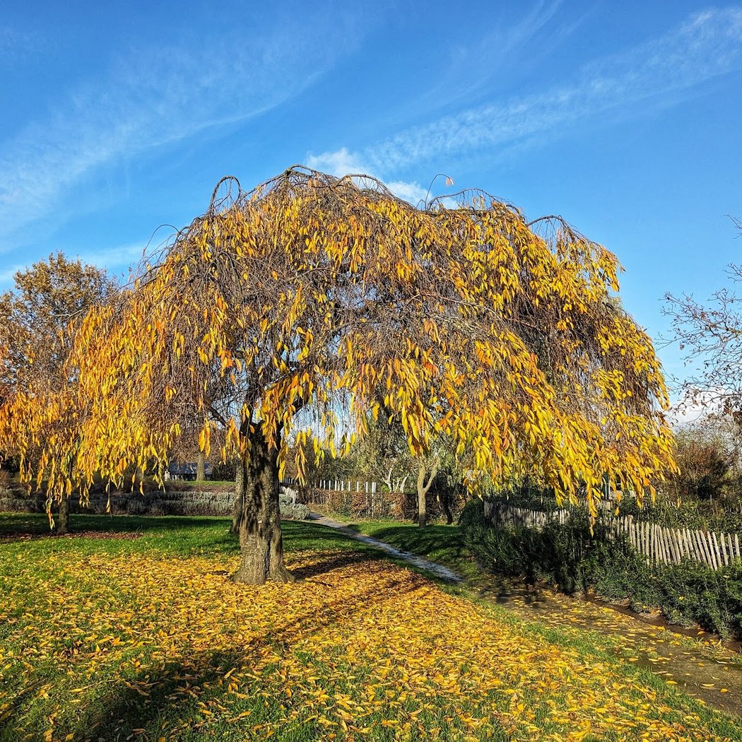 Jardins des Hautes-Bruyères 1